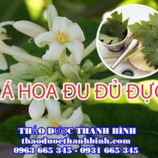 Lá hoa đu đủ đực