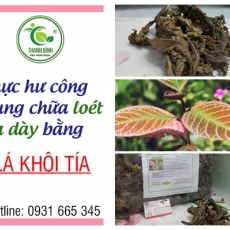 Mua lá khôi tía giá rẻ uy tín chất lượng ở đâu?