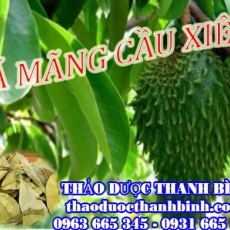 Mua lá mãng cầu xiêm ở đâu tại Bạc Liêu an toàn hiệu quả ???