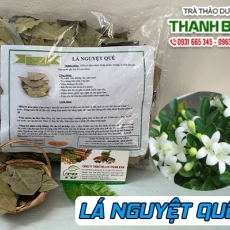 Mua lá nguyệt quế giá rẻ uy tín chất lượng nhất ở đâu?