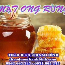 Mua mật ong rừng ở đâu tại Cao Bằng an toàn hiệu quả ???