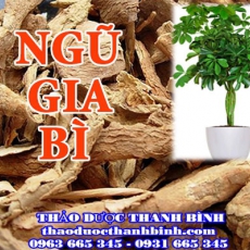 Ngũ gia bì