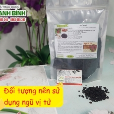 Mua ngũ vị tử giá rẻ uy tín chất lượng ở đâu?