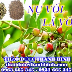 Mua nụ vối - lá vối ở đâu tại Bình Phước an toàn hiệu quả ???