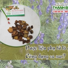 Mua bán phụ tử tại TP.HCM uy tín chất lượng tốt nhất