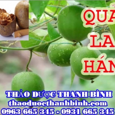 Mua quả la hán ở đâu tại Bình Thuận an toàn hiệu quả ???