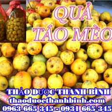 Mua quả táo mèo (sơn tra) ở đâu tại Bình Phước an toàn hiệu quả ???