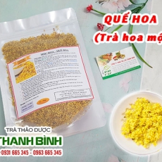 Mua bán quế hoa tại TP.HCM uy tín chất lượng tốt nhất
