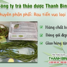 Mua rau tiến vua giá rẻ uy tín chất lượng nhất ở đâu?