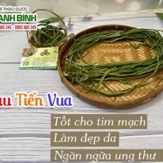 Mua rau tiến vua giá rẻ uy tín chất lượng ở đâu?