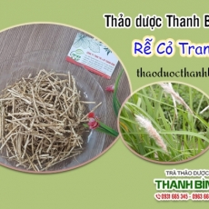 Mua bán rễ cỏ tranh tại TP.HCM uy tín chất lượng tốt nhất