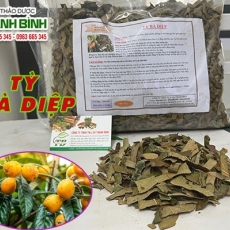 Mua tỳ bà diệp giá rẻ uy tín chất lượng nhất ở đâu?
