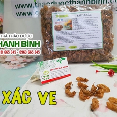 Mua xác ve giá rẻ uy tín chất lượng nhất ở đâu?