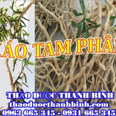 Mua xáo tam phân ở đâu tại Bắc Ninh an toàn hiệu quả ???