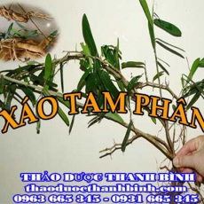 Xáo tam phân