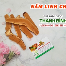 Nấm linh chi [Hình ảnh, công dụng, cách dùng] Mua ở đâu chất lượng tốt nhất?