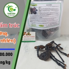 Nấm trúc [Hình ảnh, công dụng, cách dùng] Mua ở đâu chất lượng tốt nhất?