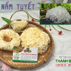 Mua bán nấm tuyết tại TP.HCM uy tín chất lượng tốt nhất