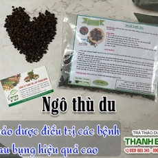 Ngô thù du [Hình ảnh, công dụng, cách dùng] Mua ở đâu chất lượng tốt nhất???