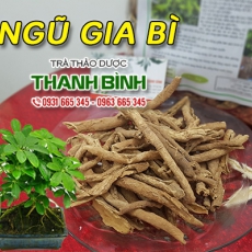 Ngũ gia bì [Hình ảnh, công dụng, cách dùng] Mua ở đâu chất lượng tốt nhất?