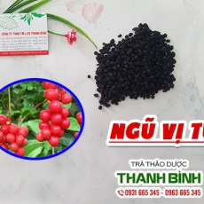 Ngũ vị tử [Hình ảnh, công dụng, cách dùng] Mua ở đâu chất lượng tốt nhất?