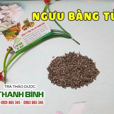 Ngưu bàng tử [Hình ảnh, công dụng, cách dùng] Mua ở đâu chất lượng?