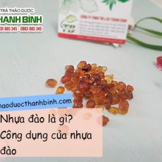 Nhựa đào (mủ đào) [Hình ảnh, công dụng, cách dùng] Mua ở đâu chất lượng tốt nhất?