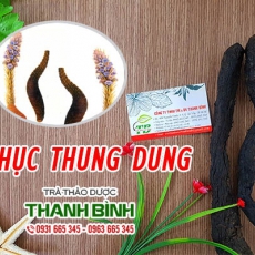 Nhục thung dung [Hình ảnh, công dụng, cách dùng] Mua ở đâu chất lượng tốt nhất?