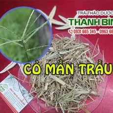 Cỏ mần trầu [Hình ảnh, công dụng, cách dùng] Mua ở đâu chất lượng tốt nhất???
