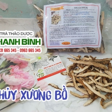 Thủy xương bồ [Hình ảnh, công dụng, cách dùng] Mua ở đâu chất lượng tốt nhất?