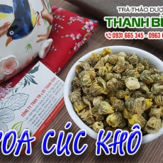 Hoa cúc khô [Hình ảnh, công dụng, cách dùng] Mua ở đâu chất lượng tốt nhất?