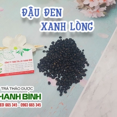 Đậu đen xanh lòng [Hình ảnh, công dụng, cách dùng] Mua ở đâu chất lượng tốt nhất?