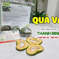 Quả vả [Hình ảnh, công dụng, cách dùng] Mua ở đâu chất lượng tốt nhất?