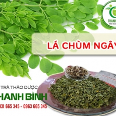 Lá chùm ngây [Hình ảnh, công dụng, cách dùng] Mua ở đâu chất lượng tốt nhất?