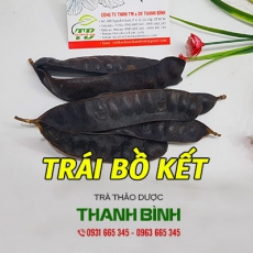 Những tác dụng của bồ kết đối với tóc bạn nên biết