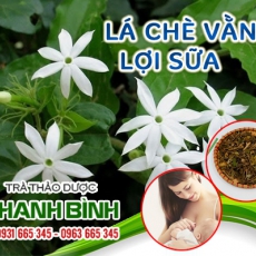 Những tác dụng không ngờ đến của lá chè vằng - mua chè vằng ở đâu tốt nhất