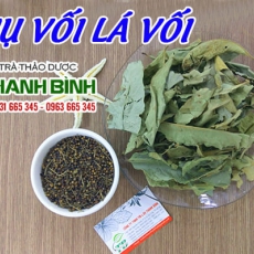 Nụ vối lá vối [Hình ảnh, công dụng, cách dùng] Mua ở đâu chất lượng tốt nhất?