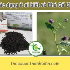 Phá cố chỉ [Hình ảnh, công dụng, cách dùng] Mua ở đâu chất lượng tốt nhất?