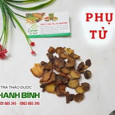 Phụ tử [Hình ảnh, công dụng, cách dùng] Mua ở đâu chất lượng tốt nhất?