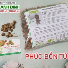 Phúc bồn tử [Hình ảnh, công dụng, cách dùng] Mua ở đâu chất lượng tốt nhất?