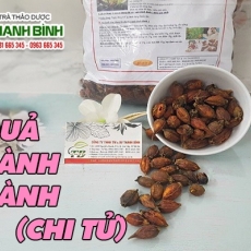 Mua bán quả dành dành (chi tử) ở huyện Nhà Bè giúp trị đại tiện ra máu tốt nhất