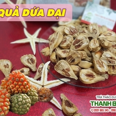 Mua bán quả dứa dại tại quận 1 có tác dụng điều trị sỏi thận an toàn nhất