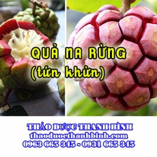 Quả na rừng [Hình ảnh, công dụng, cách dùng] Mua ở đâu chất lượng tốt nhất?