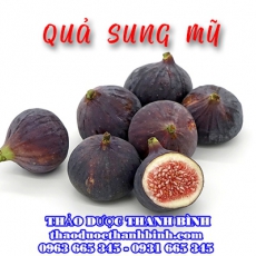 Quả sung mỹ [Hình ảnh, công dụng, cách dùng] Mua ở đâu chất lượng tốt nhất?