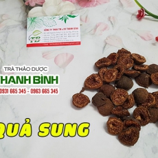 Quả sung [Hình ảnh, công dụng, cách dùng] Mua ở đâu chất lượng tốt nhất?