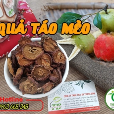 Quả táo mèo [Hình ảnh, công dụng, cách dùng] Mua ở đâu chất lượng tốt nhất?