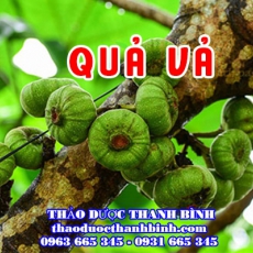 Qủa Vả