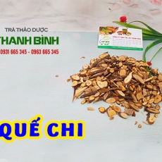 Quế chi [Hình ảnh, công dụng, cách dùng] Mua ở đâu chất lượng tốt nhất?
