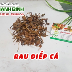Rau diếp cá [Hình ảnh, công dụng, cách dùng] Mua ở đâu chất lượng tốt nhất?