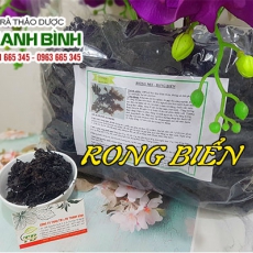 Rong biển [Hình ảnh, công dụng, cách dùng] Mua ở đâu chất lượng tốt nhất?